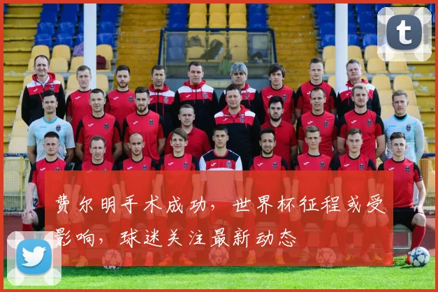 费尔明手术成功，世界杯征程或受影响，球迷关注最新动态