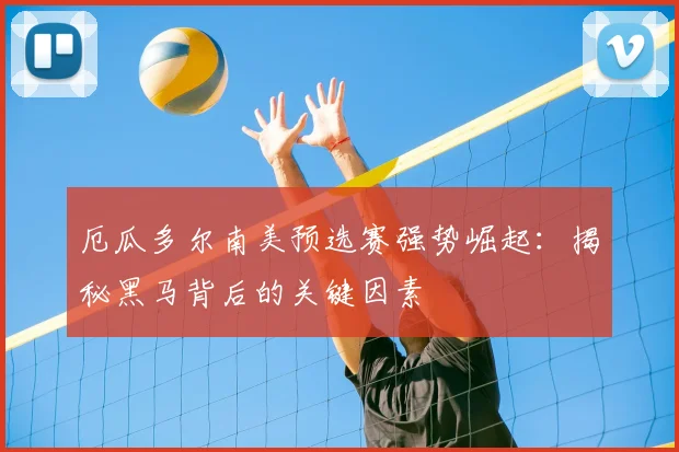 厄瓜多尔南美预选赛强势崛起：揭秘黑马背后的关键因素